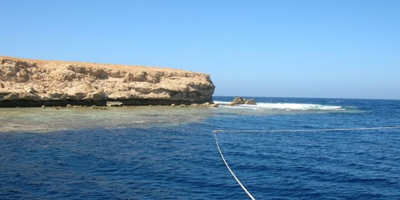 Dive Site